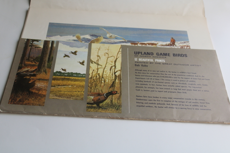 photo of Remington's portfolio Upland Game Birds hunting, vintage art prints for framing  #3