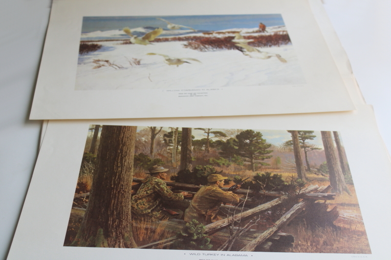 photo of Remington's portfolio Upland Game Birds hunting, vintage art prints for framing  #4