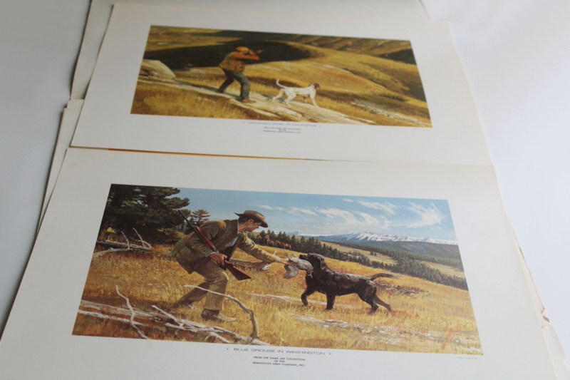 photo of Remington's portfolio Upland Game Birds hunting, vintage art prints for framing  #6