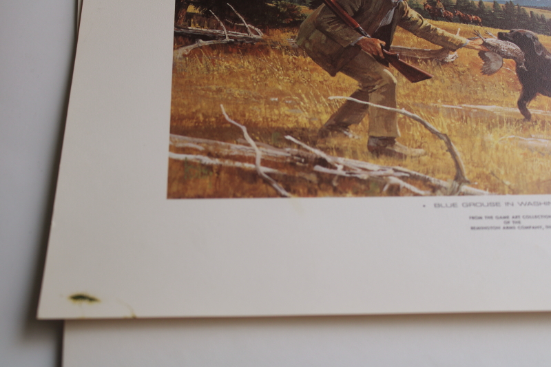 photo of Remington's portfolio Upland Game Birds hunting, vintage art prints for framing  #7