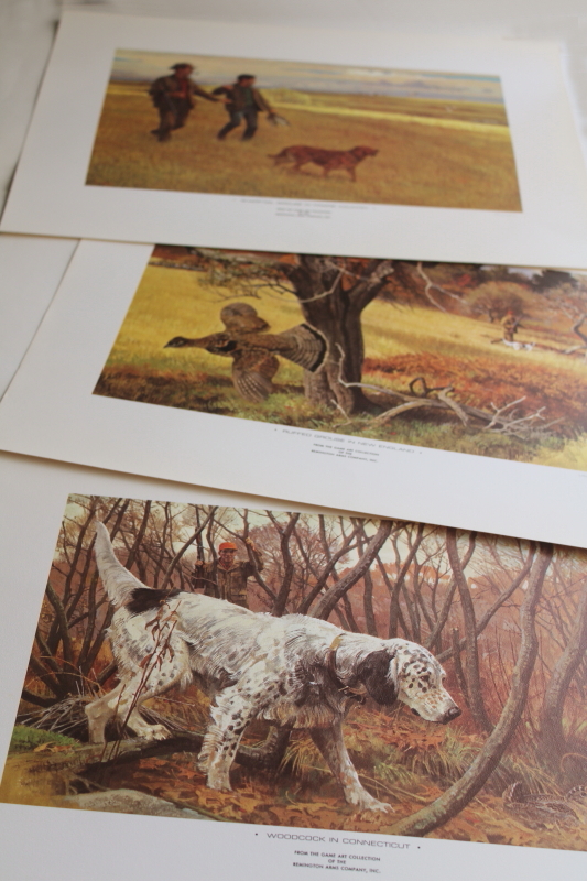 photo of Remington's portfolio Upland Game Birds hunting, vintage art prints for framing  #9