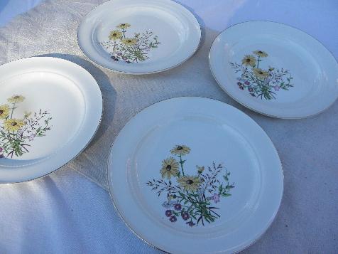 photo of Richmond pattern vintage Hall china plates, brown eyed susans & asters #1