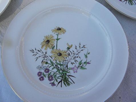 photo of Richmond pattern vintage Hall china plates, brown eyed susans & asters #2