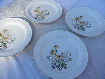 catalog photo of Richmond pattern vintage Hall china plates, brown eyed susans & asters