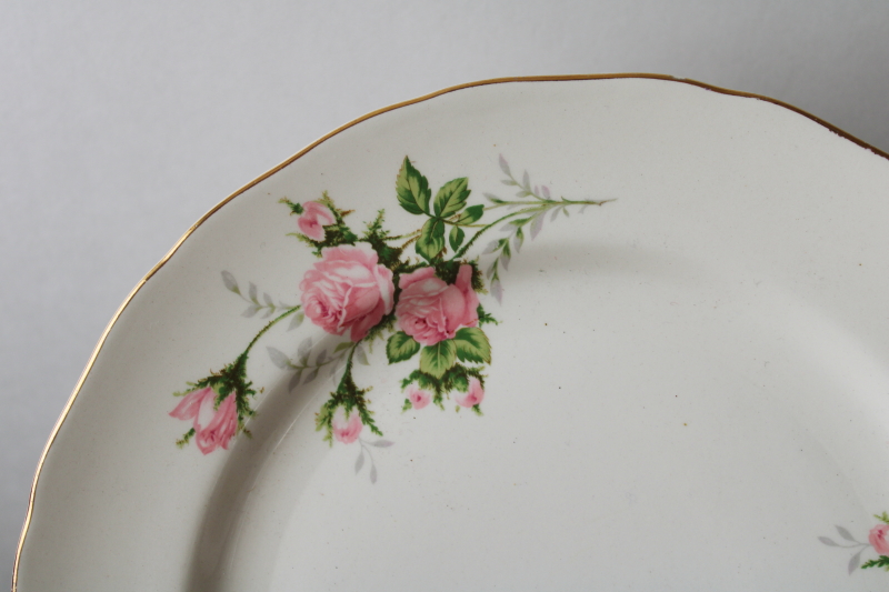 photo of Rose Bouquet pink roses floral dinner plate, 1940s 50s vintage Canonsburg china dinnerware  #2