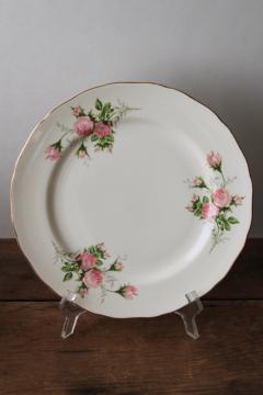 catalog photo of Rose Bouquet pink roses floral dinner plate, 1940s 50s vintage Canonsburg china dinnerware 