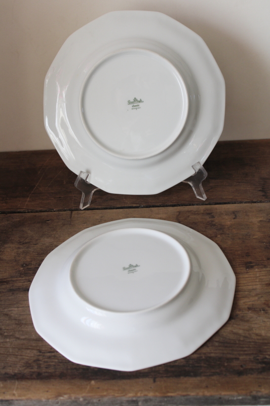 photo of Rosenthal Maria rose border classic white china dinner or luncheon plates #3