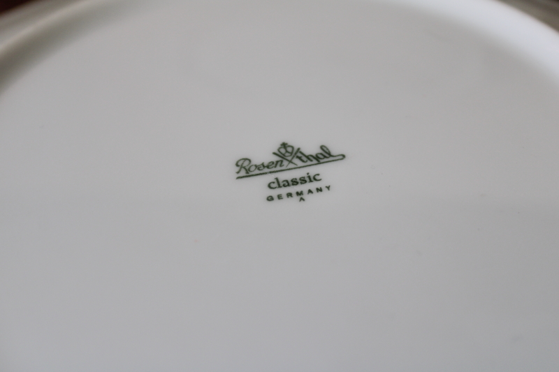 photo of Rosenthal Maria rose border classic white china dinner or luncheon plates #4