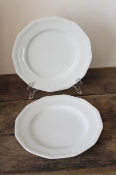 catalog photo of Rosenthal Maria rose border classic white china dinner or luncheon plates