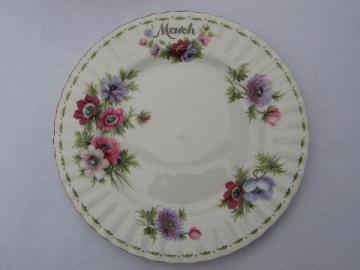 catalog photo of Royal Albert bone china March Anemones plate, flower of the month