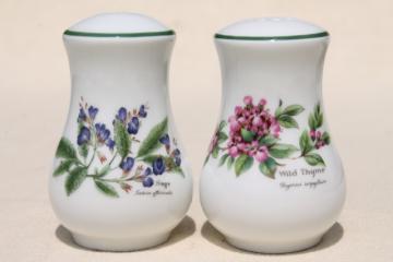 catalog photo of Royal Worcester England china salt and pepper S&P shakers, Worcester Herbs botanical floral