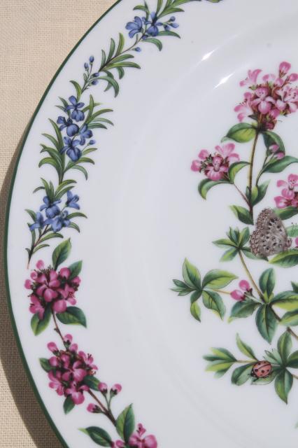 photo of Royal Worcester Herbs botanical floral china service plate, cake or chop plate #3