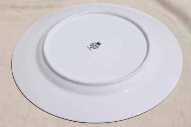 photo of Royal Worcester Herbs botanical floral china service plate, cake or chop plate #6