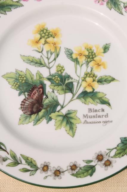 photo of Royal Worcester Herbs botanical print china, set of 4 cake plates made in England #4