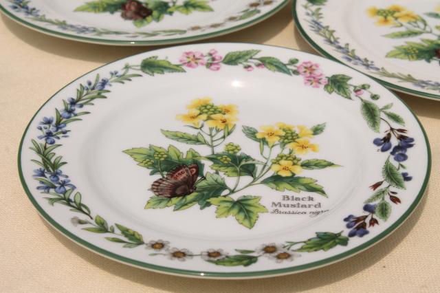 photo of Royal Worcester Herbs botanical print china, set of 4 cake plates made in England #5