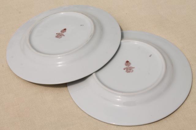 photo of Royal Worcester Herbs botanical print china, set of 4 cake plates made in England #6