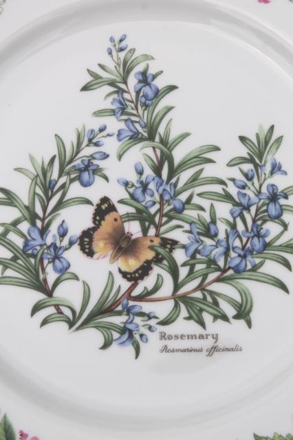 photo of Royal Worcester Herbs botanical print china, set of 4 dinner plates made in England #4