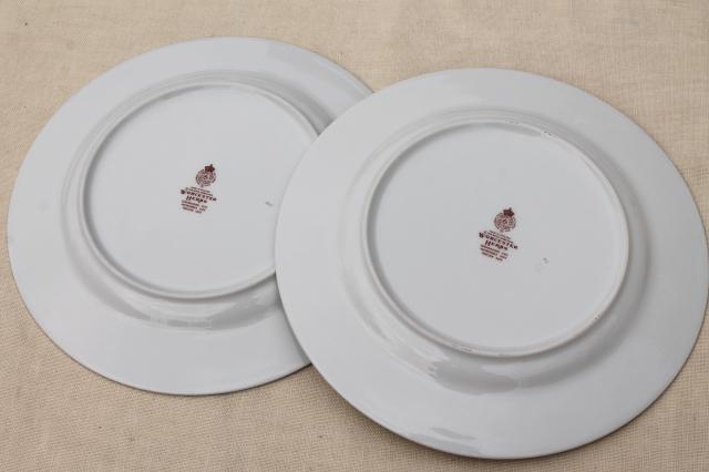 photo of Royal Worcester Herbs botanical print china, set of 4 dinner plates made in England #7