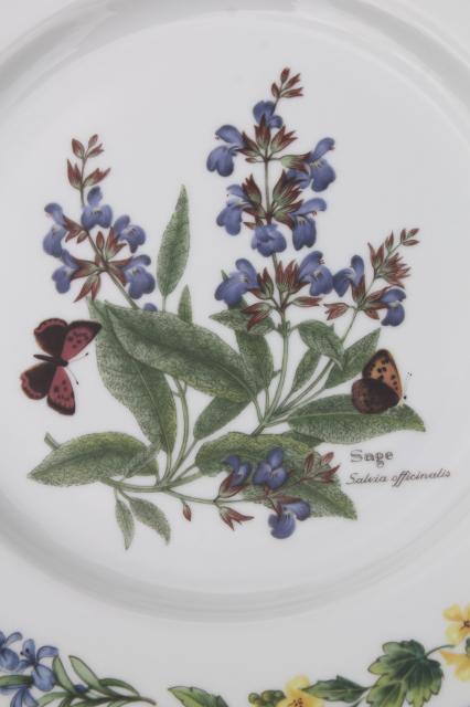 photo of Royal Worcester Herbs botanical print china, set of 4 salad plates made in England #3