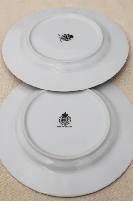 photo of Royal Worcester Herbs botanical print china, set of 4 salad plates made in England #6