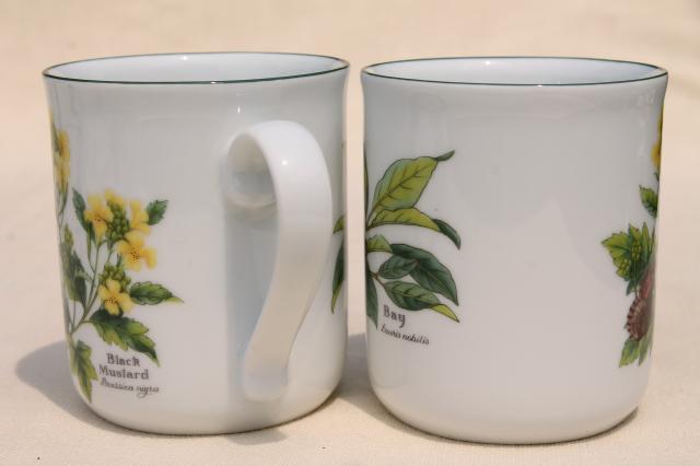 photo of Royal Worcester Herbs botanical print china, set of six coffee / tea mugs #4