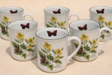 catalog photo of Royal Worcester Herbs botanical print china, set of six coffee / tea mugs