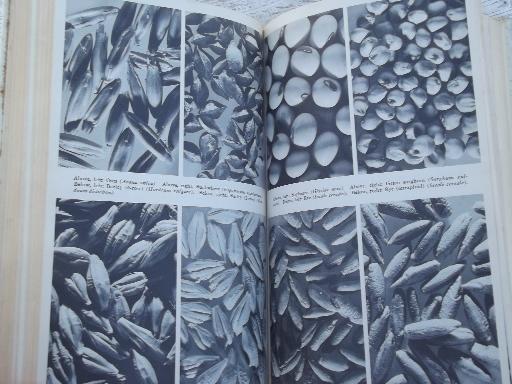 photo of Seeds, old US Department of Agriculture  farm yearbook, vintage 1961 #4