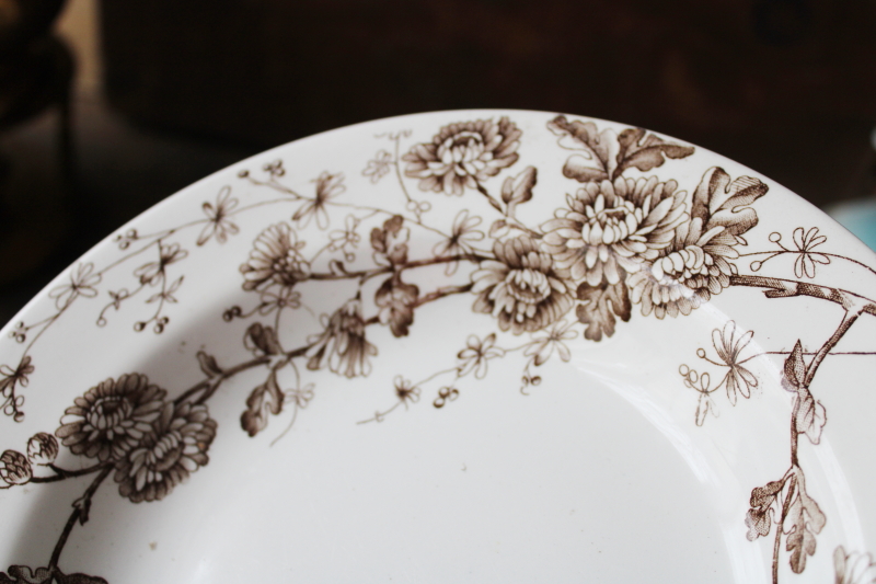 photo of Spring pattern brown transferware, antique ironstone china plate w/ old England registry stamp #3