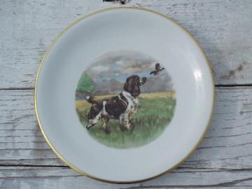 catalog photo of Springer spaniel bird dog in the field, vintage Bavaria china plate