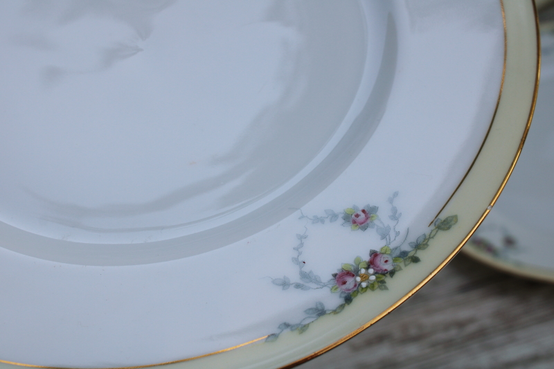 photo of Studio hand painted art deco vintage china, 12 dinner plates never used Tirschenreuth Bavaria porcelain #6
