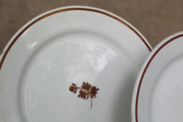 photo of Tea Leaf pattern white ironstone china w/ copper luster stack of antique plates #7