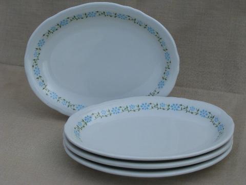 photo of Texas bluebonnet flowers Shenango ironstone oval steak platter plates #1