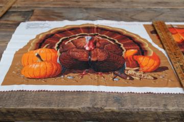 catalog photo of Thanksgiving turkey centerpiece to make, printed cotton fabric cut & sew panel