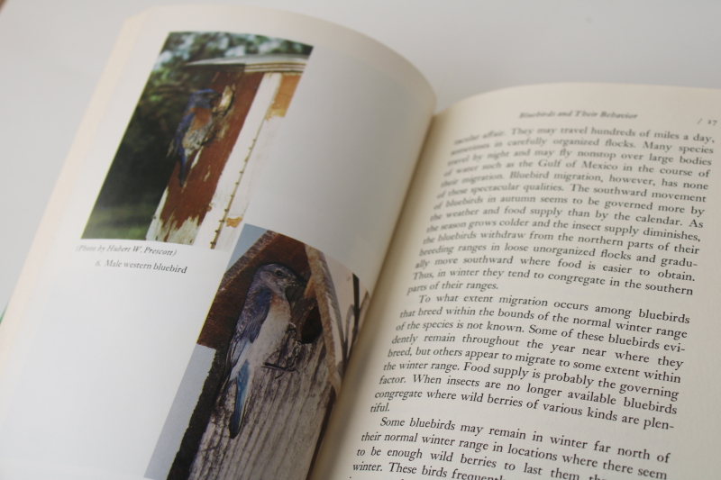 photo of The Bluebird, birdwatching birdhouses habitat book vintage 1976, green cover birder's book  #5