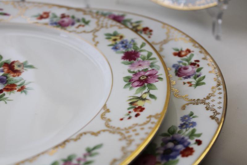 photo of The Dresden multi-colored floral Rosenthal Bavaria china, set of four large dinner plates #6