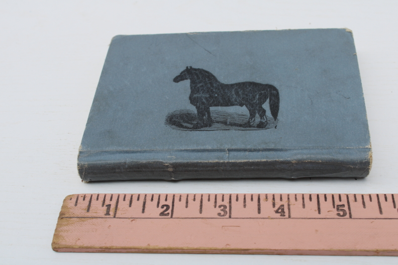photo of The Horseman's Friend 1890s antique veterinary guide Dr Strickland pocket manual vintage book  #2