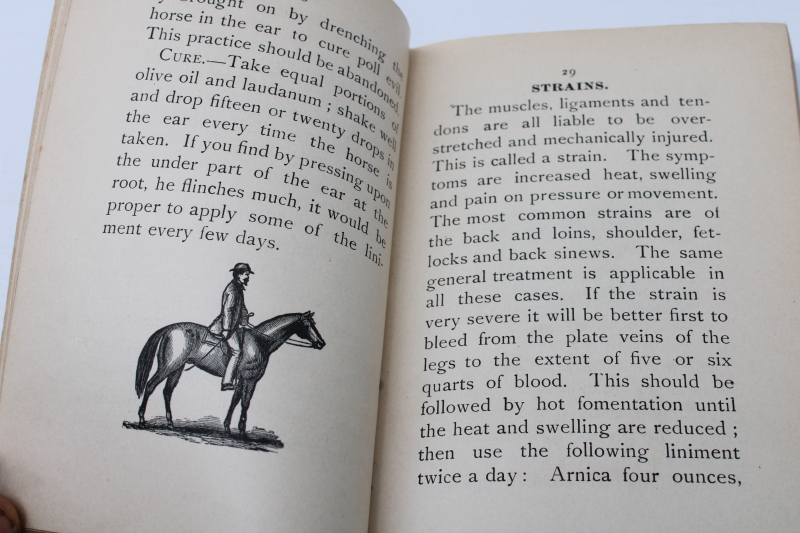 photo of The Horseman's Friend 1890s antique veterinary guide Dr Strickland pocket manual vintage book  #5