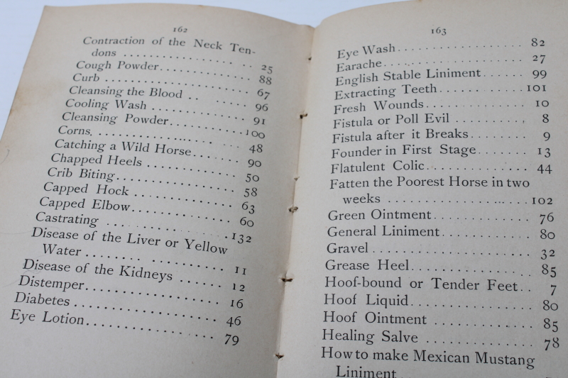 photo of The Horseman's Friend 1890s antique veterinary guide Dr Strickland pocket manual vintage book  #6