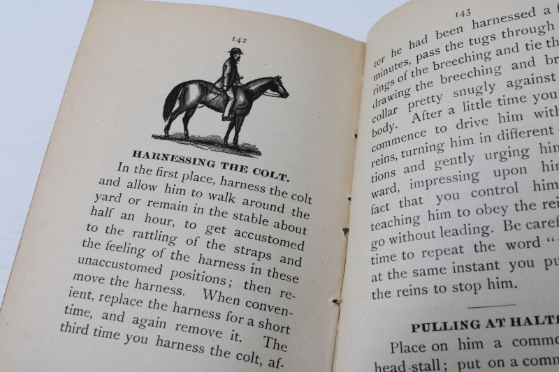photo of The Horseman's Friend 1890s antique veterinary guide Dr Strickland pocket manual vintage book  #7