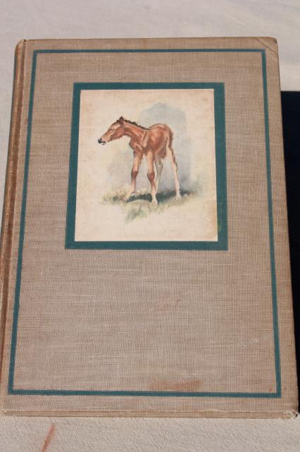 photo of The Red Pony John Steinbeck 1940s edition w/ Wesley Dennis horse art illustrations #1