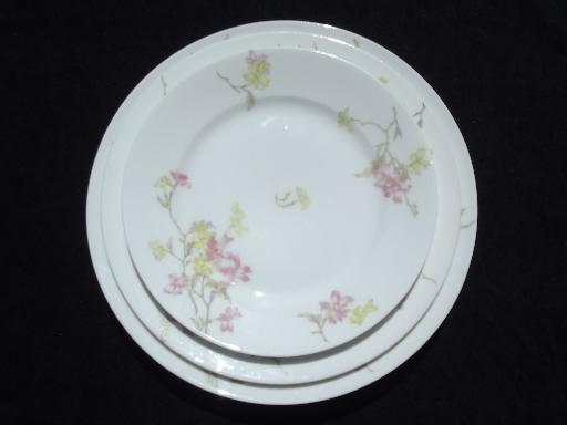 photo of Theodore Haviland vintage pink floral china plates for 6 in three sizes #2