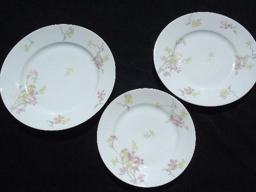 photo of Theodore Haviland vintage pink floral china plates for 6 in three sizes #3