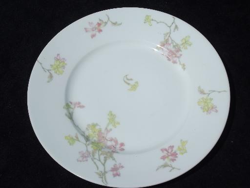 photo of Theodore Haviland vintage pink floral china plates for 6 in three sizes #4
