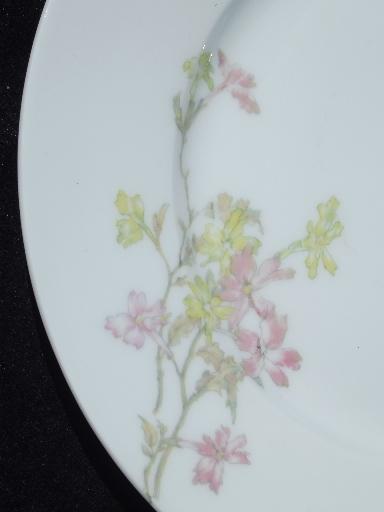 photo of Theodore Haviland vintage pink floral china plates for 6 in three sizes #5