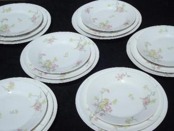 catalog photo of Theodore Haviland vintage pink floral china plates for 6 in three sizes
