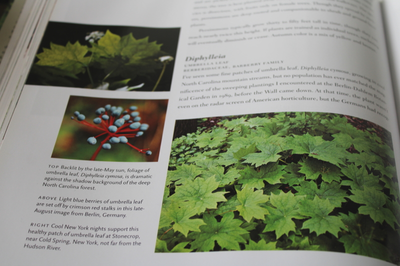 photo of Timber Press book The American Woodland Garden tons of landscape gardening photos #4