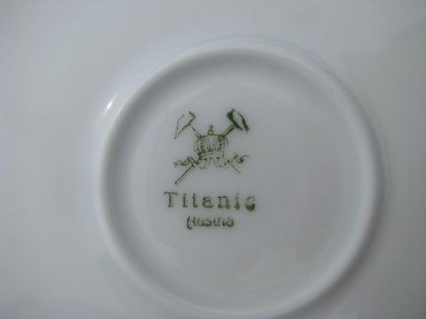 photo of Titanic hand-painted china plates, antique vintage Austria porcelain, ca. 1900 #4