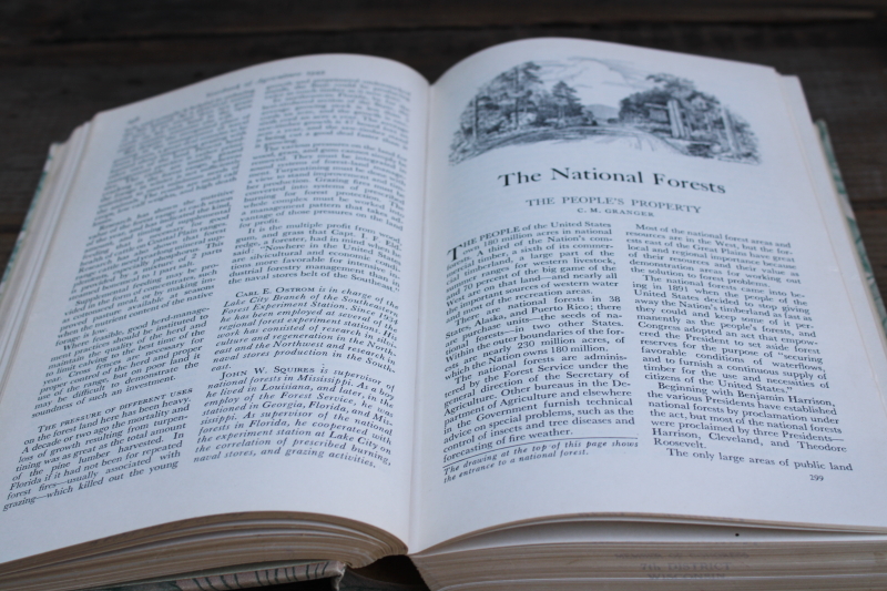 photo of USDA Yearbook 1949 Trees special, green & tan leaves print cloth cover vintage book  #3