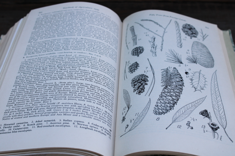 photo of USDA Yearbook 1949 Trees special, green & tan leaves print cloth cover vintage book  #4