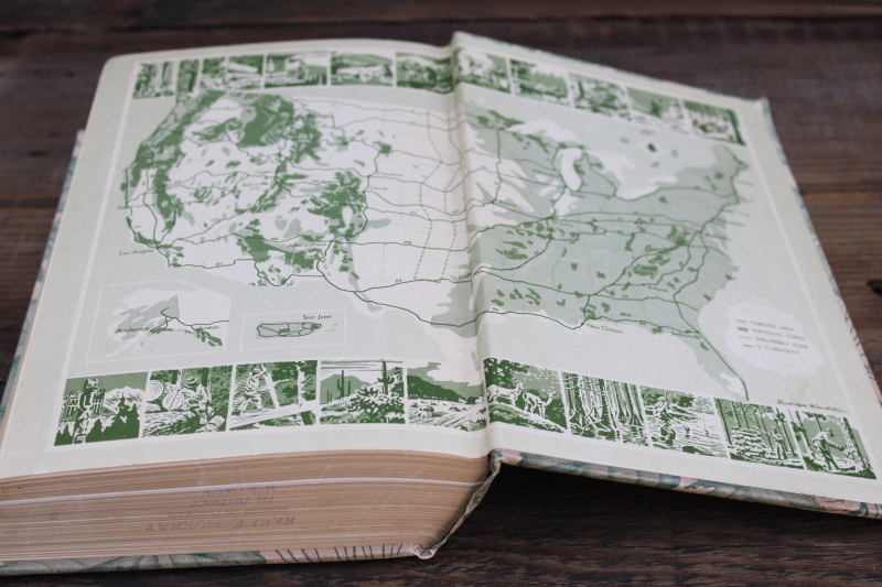 photo of USDA Yearbook 1949 Trees special, green & tan leaves print cloth cover vintage book  #5